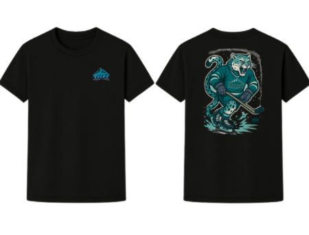 Snow Leopard – Salt Lake Effect