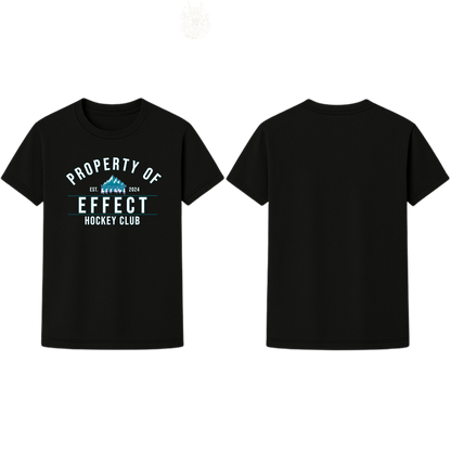 Property of Effect