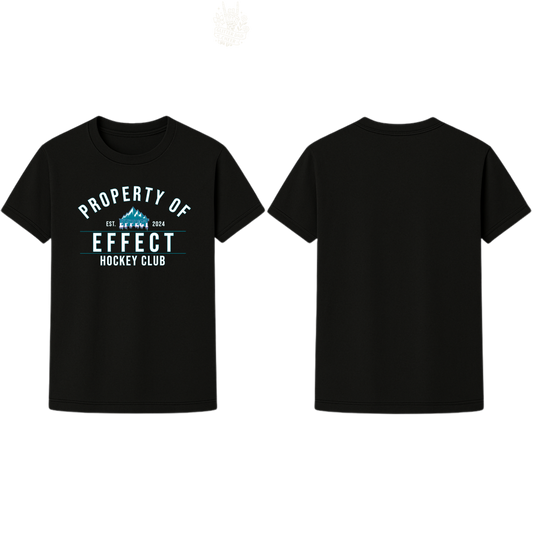 Property of Effect