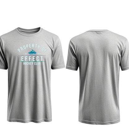 Property of Effect