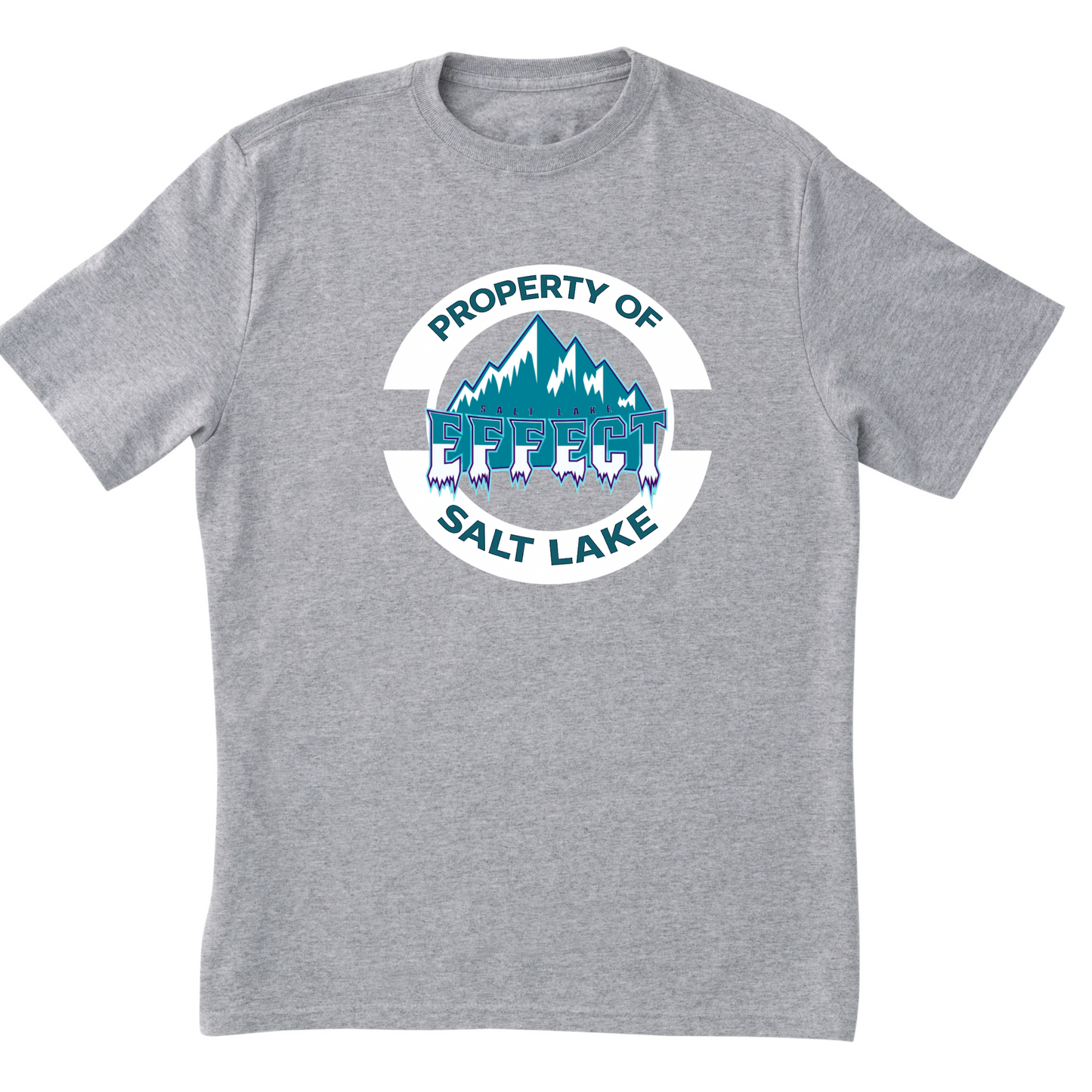 Property of Salt Lake