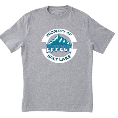 Property of Salt Lake