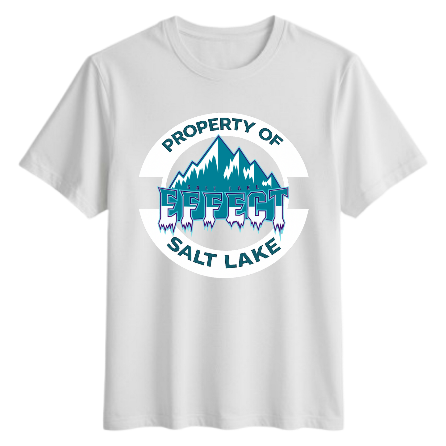 Property of Salt Lake