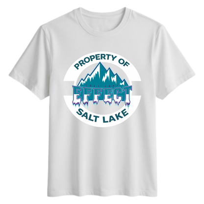 Property of Salt Lake